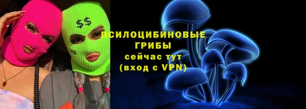 не бодяженный Горнозаводск